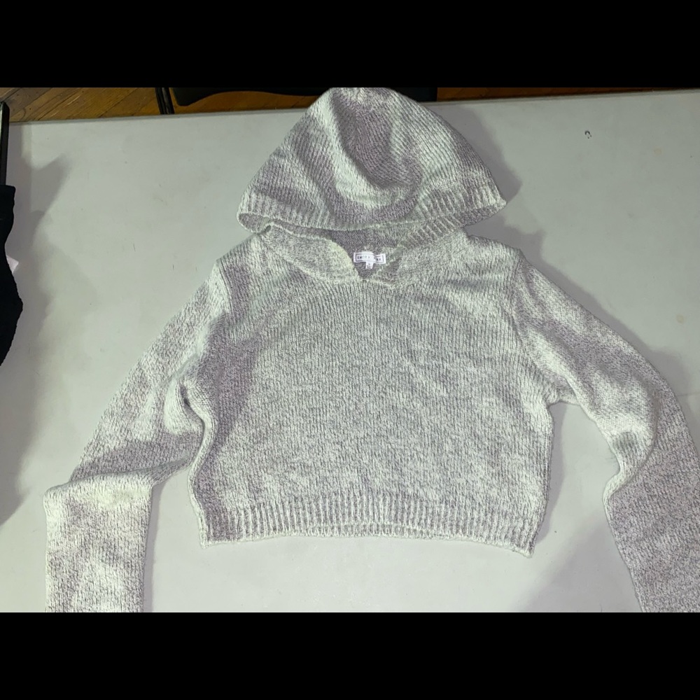 Emory Park Sweater Hood Top